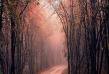 2025爱游戏体育app官网阿斯：马竞多人合同到2030年，也想续约朱利亚诺-西蒙尼至2030年，马竞主帅西蒙尼