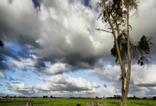 2025爱游戏体育app官网阿斯：马竞多人合同到2030年，也想续约朱利亚诺-西蒙尼至2030年，马竞主帅西蒙尼