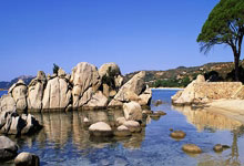 2025爱游戏体育app官网阿斯：马竞多人合同到2030年，也想续约朱利亚诺-西蒙尼至2030年，马竞主帅西蒙尼