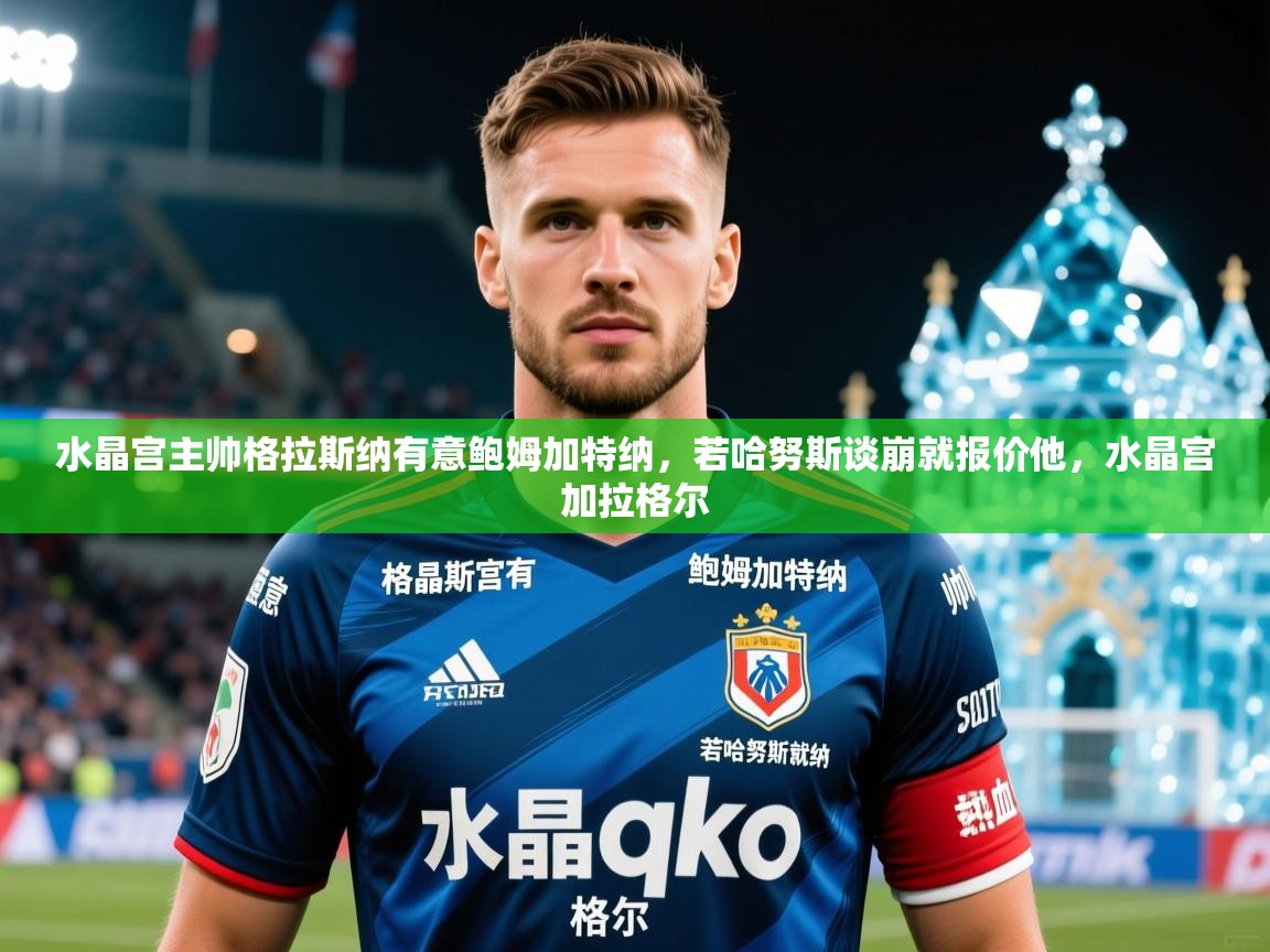 2025爱游戏体育app官方入口水晶宫主帅格拉斯纳有意鲍姆加特纳，若哈努斯谈崩就报价他，水晶宫加拉格尔